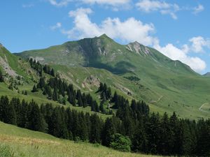 Preview wallpaper mountains, slopes, trees, landscape