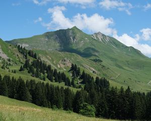 Preview wallpaper mountains, slopes, trees, landscape