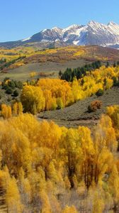 Preview wallpaper mountains, slopes, trees, yellow, autumn