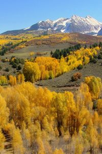 Preview wallpaper mountains, slopes, trees, yellow, autumn