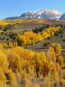 Preview wallpaper mountains, slopes, trees, yellow, autumn