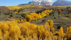 Preview wallpaper mountains, slopes, trees, yellow, autumn