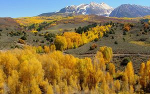 Preview wallpaper mountains, slopes, trees, yellow, autumn