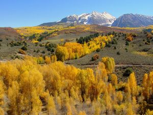 Preview wallpaper mountains, slopes, trees, yellow, autumn