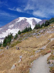 Preview wallpaper mountains, slopes, trees, grass, relief, nature