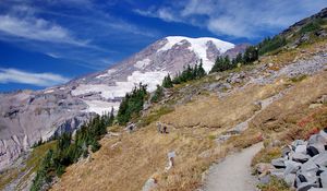 Preview wallpaper mountains, slopes, trees, grass, relief, nature