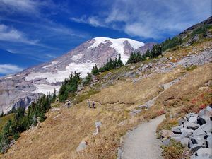 Preview wallpaper mountains, slopes, trees, grass, relief, nature