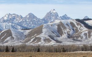 Preview wallpaper mountains, snow, bushes, winter, landscape