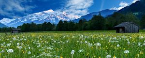 Preview wallpaper mountains, snow, field, dandelions, nature, landscape