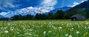 Preview wallpaper mountains, snow, field, dandelions, nature, landscape