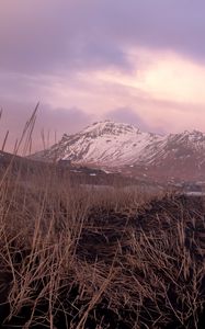 Preview wallpaper mountains, snow, field, grass, landscape, twilight