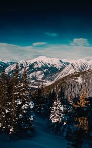 Preview wallpaper mountains, snow, forest, pine trees, landscape