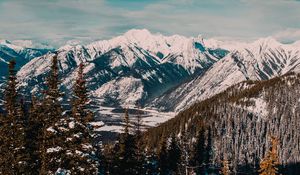 Preview wallpaper mountains, snow, forest, pine trees, landscape