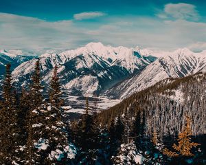 Preview wallpaper mountains, snow, forest, pine trees, landscape