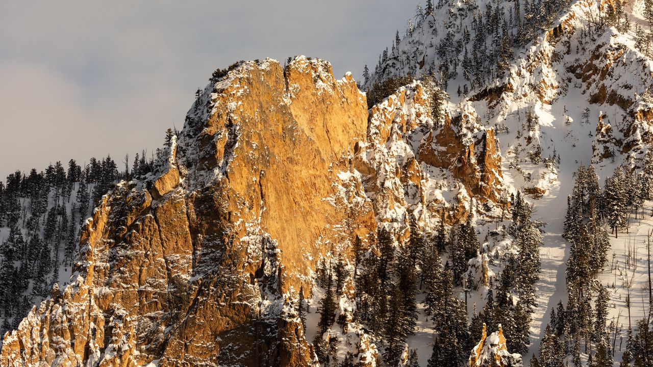 Wallpaper mountains, snow, forest, rocks