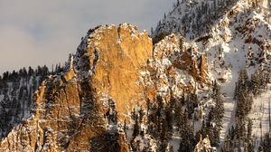 Preview wallpaper mountains, snow, forest, rocks
