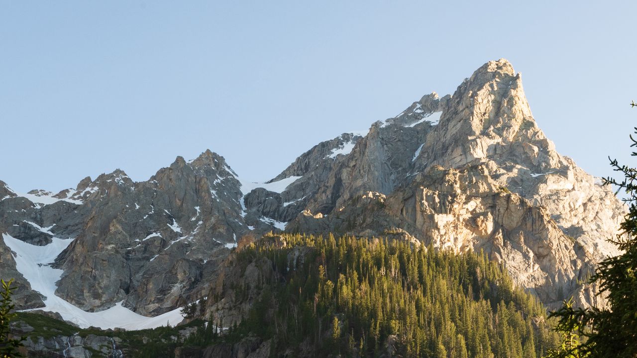 Wallpaper mountains, snow, forest, trees, nature