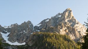 Preview wallpaper mountains, snow, forest, trees, nature
