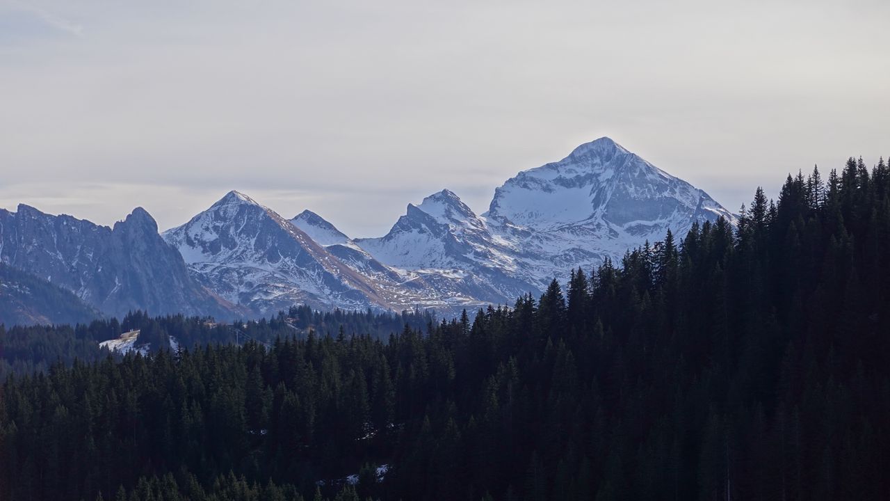 Wallpaper mountains, snow, forest, trees, landscape, nature