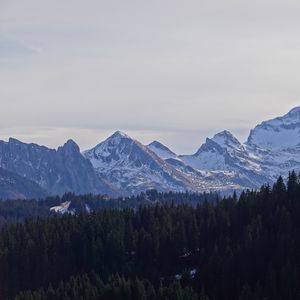 Preview wallpaper mountains, snow, forest, trees, landscape, nature