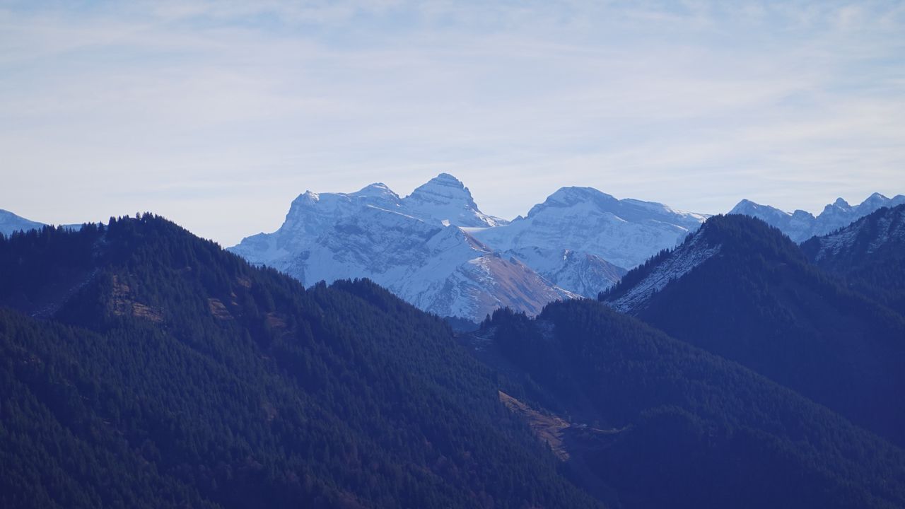 Wallpaper mountains, snow, forest, nature, landscape