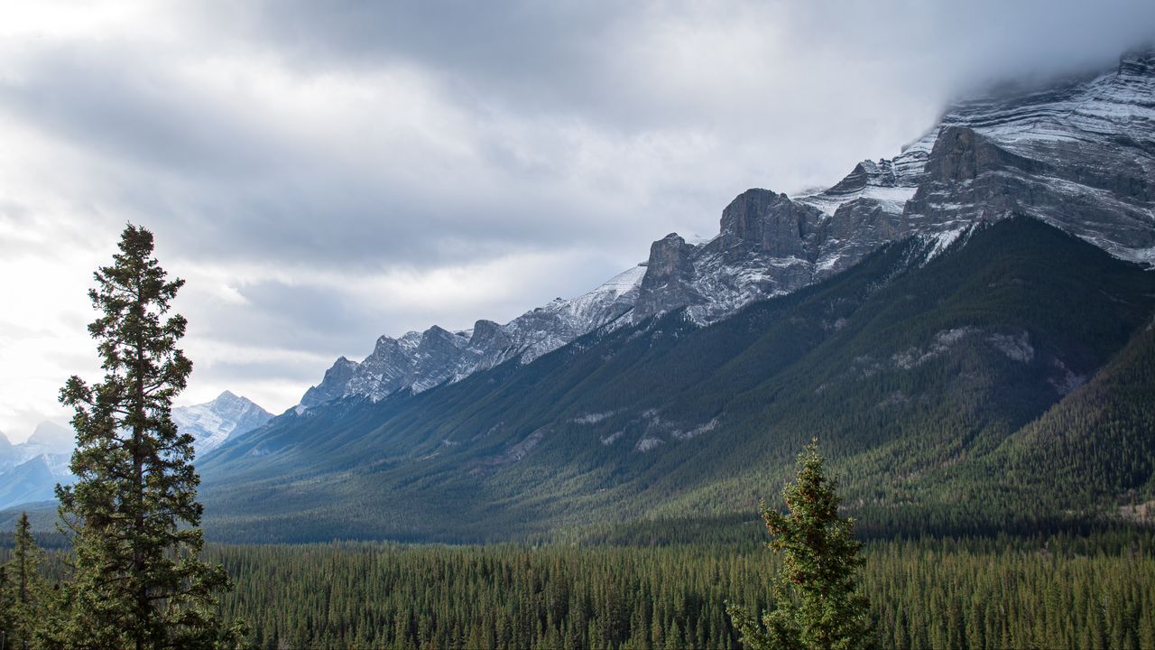 Wallpaper mountains, snow, forest, trees, landscape