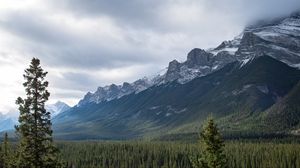 Preview wallpaper mountains, snow, forest, trees, landscape