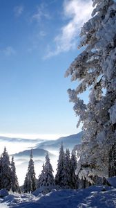 Preview wallpaper mountains, snow, height, fog, trees