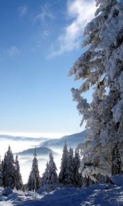 Preview wallpaper mountains, snow, height, fog, trees