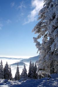 Preview wallpaper mountains, snow, height, fog, trees