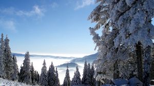 Preview wallpaper mountains, snow, height, fog, trees