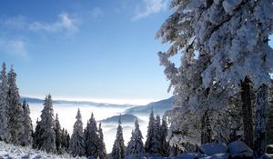 Preview wallpaper mountains, snow, height, fog, trees