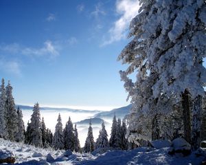 Preview wallpaper mountains, snow, height, fog, trees