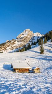 Preview wallpaper mountains, snow, house, trees, landscape, nature