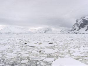 Preview wallpaper mountains, snow, lake, ice, nature, white