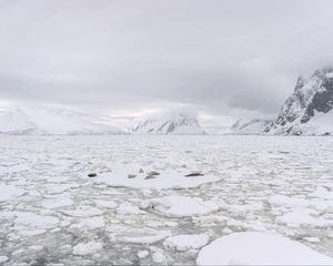 Preview wallpaper mountains, snow, lake, ice, nature, white