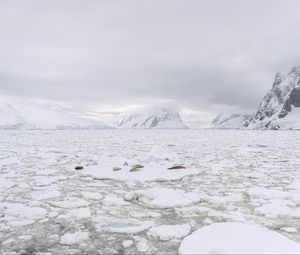 Preview wallpaper mountains, snow, lake, ice, nature, white