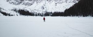 Preview wallpaper mountains, snow, landscape, trees, tourist