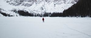 Preview wallpaper mountains, snow, landscape, trees, tourist