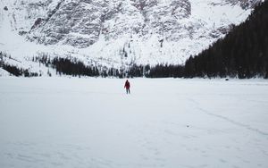 Preview wallpaper mountains, snow, landscape, trees, tourist