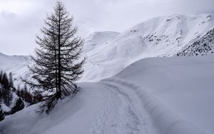 Preview wallpaper mountains, snow, path, tree, winter