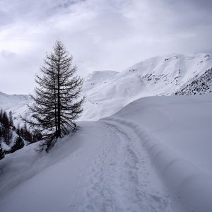 Preview wallpaper mountains, snow, path, tree, winter
