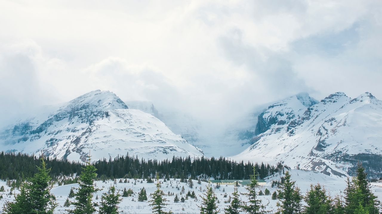 Wallpaper mountains, snow, peaks, trees, fog