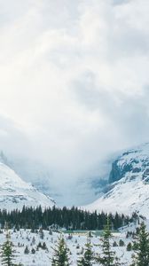 Preview wallpaper mountains, snow, peaks, trees, fog