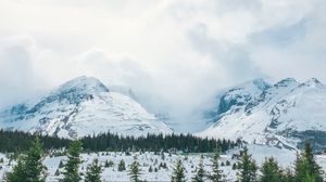 Preview wallpaper mountains, snow, peaks, trees, fog