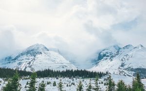 Preview wallpaper mountains, snow, peaks, trees, fog