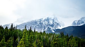 Preview wallpaper mountains, snow, peaks, trees