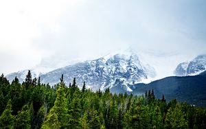 Preview wallpaper mountains, snow, peaks, trees