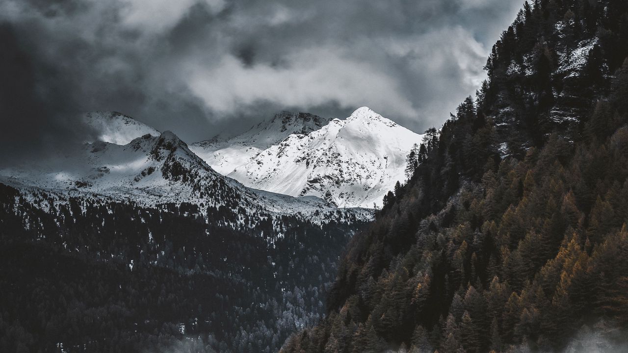Wallpaper mountains, snow, peaks, fog, trees