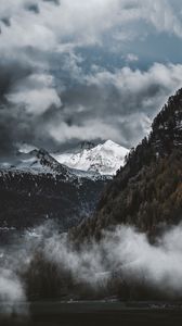 Preview wallpaper mountains, snow, peaks, fog, trees